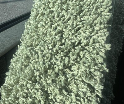 Guest review image 1 of 1, zoom in