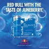 Red Bull Sea Blue Edition Energy Drink - 4pk/8.4 fl oz Cans - 2 of 4