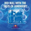 Red Bull Sea Blue Edition Energy Drink - 4pk/12 fl oz Cans - image 2 of 4