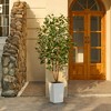 DR.Planzen 72" Faux Ficus Tree with Real Wood - UV Resistant 6FT Artificial Plant with Silk Leaves in 15.7" Planter for Indoor & Floor Decor - 2 of 4