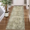 Acekool Vintage Runner Rug - 2x8 Non-Slip Washable Carpet in Brown & Green - 3 of 4