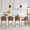 Spruce&Spring Modern 27 inch Counter Height Bar Stool Set of 2 - 2 of 4