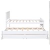 NicBex Twin Platform Bed 80" L Modern Pine Bed Frame with Trundle and 2 Storage Drawers for Bedroom, Guest Room, No Box Spring Required - 3 of 4