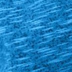 bright cobalt marled