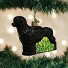 Old World Christmas Blown Glass Ornament for Christmas Tree, Portuguese Water Dog - 2 of 4