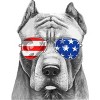 Boy's Design By Humans American Pitbull With Sunglasses By T-Shirt - 2 of 2