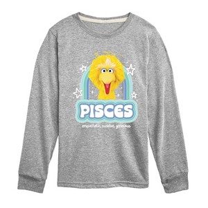 Boys' - Sesame Street - Pisces Big Bird -Toddler and Youth Long Sleeve T-Shirt Long Sleeve Graphic T-Shirt - 1 of 3