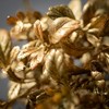 27"H Sullivans Artificial Gilded Gold Fall Spray, Indoor Christmas Decor - 2 of 3