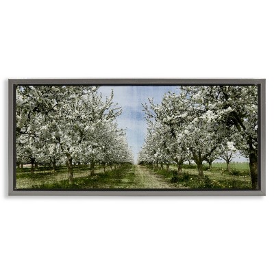 Stupell Industries Blooming White Tree Orchard, 31" x 14"