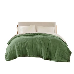 Gracie Mills Larry All-Season Down Alternative Blanket with Satin Trim - 1 of 4