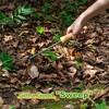 Itopfox Premium Hand Rake for Gardening, 5 Tines Hand Tiller Cultivator Small Rake Tool with Wood Handle, Ideal for Digging, Aerating, Weeding - 3 of 4