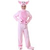 HalloweenCostumes.com Kids Pig Costume - 4 of 4