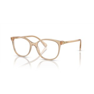 Swarovski SK2002 53mm Female Square Sunglasses - prescription-ready - 1 of 4