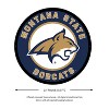 Evergreen Ultra-Thin Edgelight LED Wall Decor, Round, Montana State University- 23 x 23 Inches Made In USA - 2 of 4