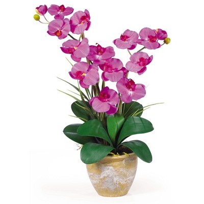 Multicolor 25" Double Stem Phalaenopsis Silk Orchid in Ceramic Vase
