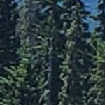 theo black silver narrow