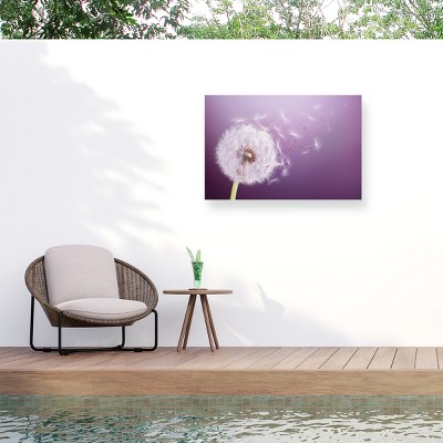 Trademark Fine Art - Bess Hamiti Dandelion Flying Matted Framed Art