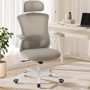 Mesh Office Desk Chair, High Back Executive Desk Chair with Lumbar Support - 1 of 4