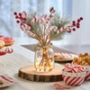 The Lakeside Collection Christmas Poinsettia Evergreen and Pink Candy Vase With Fairy Lights - 2 of 2