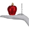 Old World Christmas Glass Blown Ornament, Red Delicious Apple - 2 of 3
