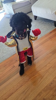 Guest review image 1 of 1, zoom in