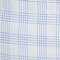 Blue/White Plaid