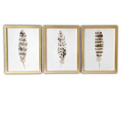 (Set of 3) 16" x 20" Feathers Framed Wall Canvas Brown - Gallery 57