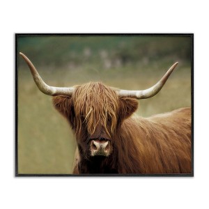 Stupell Industries Highland Cattle Shaggy Hair Country Animal Portrait Photography Framed Giclee Art - 1 of 4
