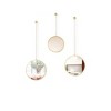 Set of 3 Dima Round Decorative Wall Mirrors Brass - Umbra - image 3 of 4