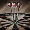 Fat Cat Darts in a Jar Steel Tip - 20gms - 2 of 4