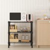 Karl Home 23.62 in.W Metal Storage Rack - 4 of 4