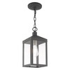 Livex Lighting Nyack 1 - Light Pendant in  Scandinavian Gray - 4 of 4