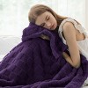 Bedsure | Cute Soft Cozy Checkered Throw Blanket for Couch - 3 of 4