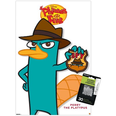 clear push pins bundle