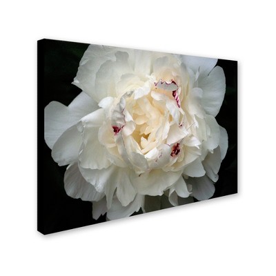 Kurt Shaffer 'Hypnotic Yellow Rose' Multi Panel Art Set Large