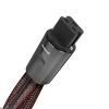 AudioQuest NRG Hurricane High-Current 20-Amp AC Power Cable - 2 Meters - 4 of 4