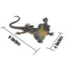 Collectible Wildlife Gifts | Lizard, Frill-Necked Lizard, Frilled Dragon, Rubber Reptile Toy, Realistic Figure, Model, Gift,   6"  F2048 B187 - 2 of 4