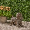 KWPZQEB 14.5" H Outdoor Dog Statue, Cast Stone Garden Sculpture, Outdoor Cocker Spaniel Dog Garden Statue, No Assembly Required, Brown - 3 of 4