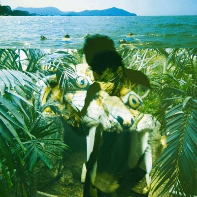 Local Natives / Sylvan Esso - Dark Days (7" Single) (Vinyl)