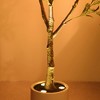 DR.Planzen 5/6FT Illuminated Artificial Olive Tree with LED Planter, Twinkling Faux Olive Tree for Christmas Holiday Decor, Indoor Festive Lighting - 3 of 4