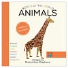 Ingram Publishers Words of the World Board Books - Set of 4 - 2 of 4