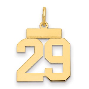 Black Bow Jewelry 14k Yellow Gold, Athletic Collection, Small Polished Number 29 Pendant - 1 of 3