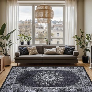Acekool 5x7 Washable Area Rug, Vintage Distressed Non-Slip Low Pile Carpet, Foldable, Stain Resistant for Living Room, Bedroom, Black - 1 of 4