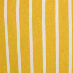 yellow stripe