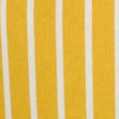 yellow stripe