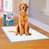 Four Paws Wee-Wee Dog Pads - 21ct - XL - image 3 of 4
