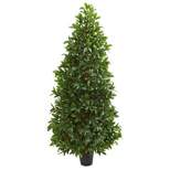 Nearly Natural 5’ Bay Leaf Cone Topiary Artificial Tree UV Resistant (Indoor/Outdoor)