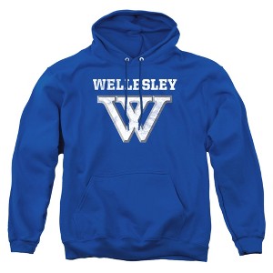 Wellesley College Official Distressed Primary Logo Adult Pull-Over Hoodie - 1 of 4