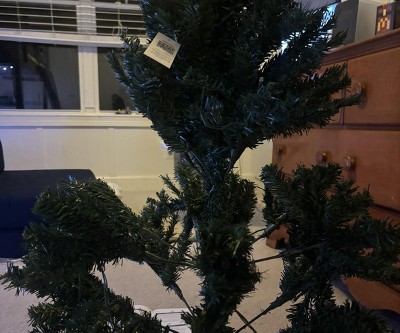 Guest review image 1 of 1, zoom in