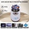 Warmounts Portable Folding Steam Sauna 1200W for Home Spa Stress Relief - 4 of 4